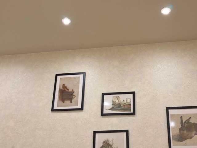 dolly-ll's BongaCams profile