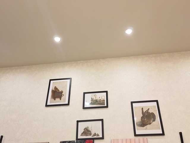 dolly-ll live cam on BongaCams
