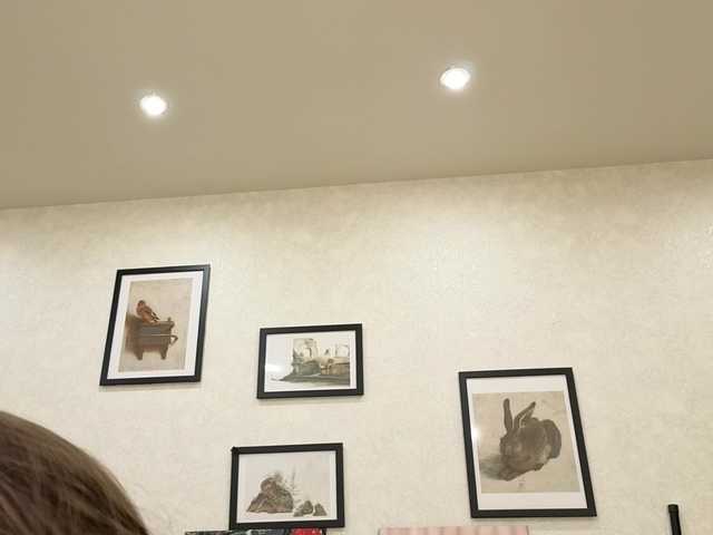 dolly-ll live cam on BongaCams