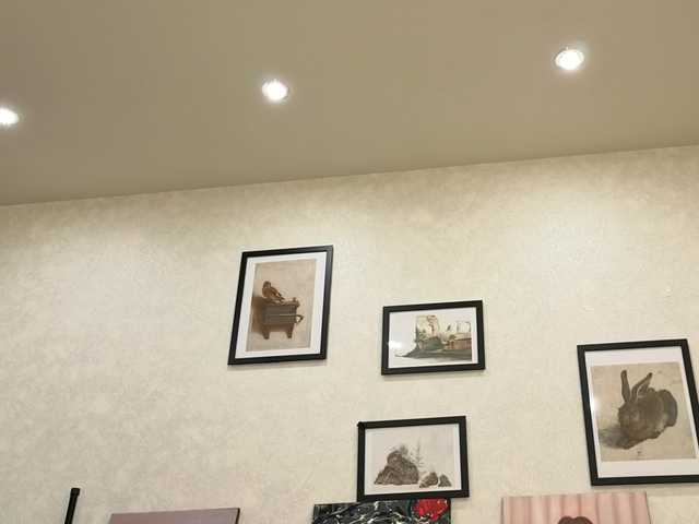 dolly-ll live cam on BongaCams