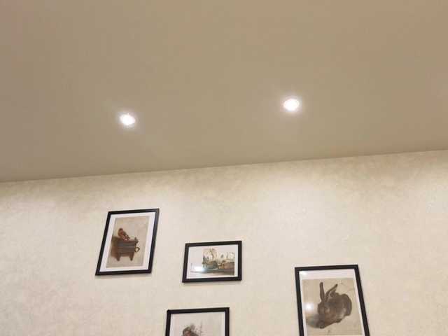 dolly-ll live cam on BongaCams
