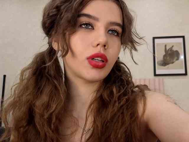 dolly-ll webcam