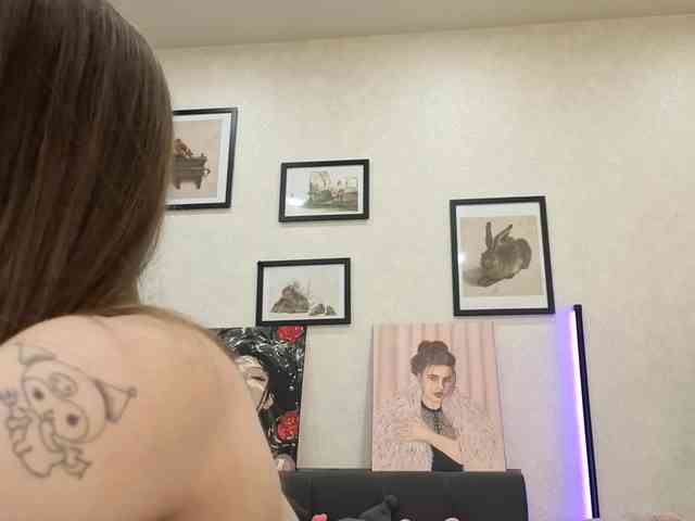 dolly-ll webcam