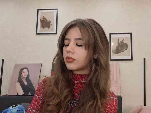 dolly-ll webcam