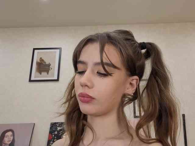 dolly-ll webcam