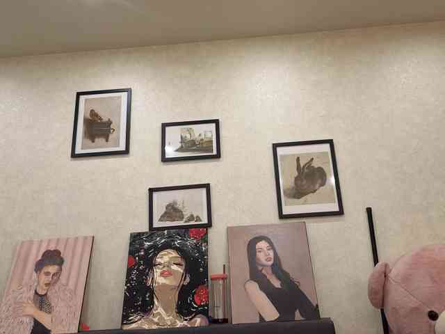 dolly-ll webcam