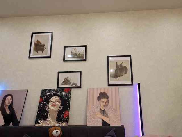 dolly-ll webcam
