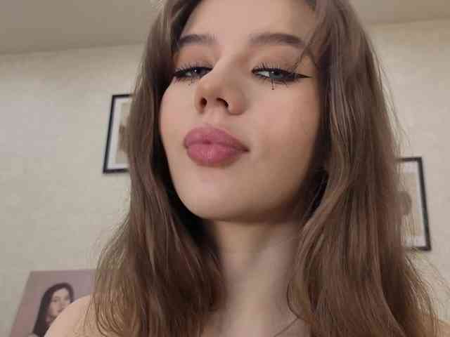 dolly-ll webcam