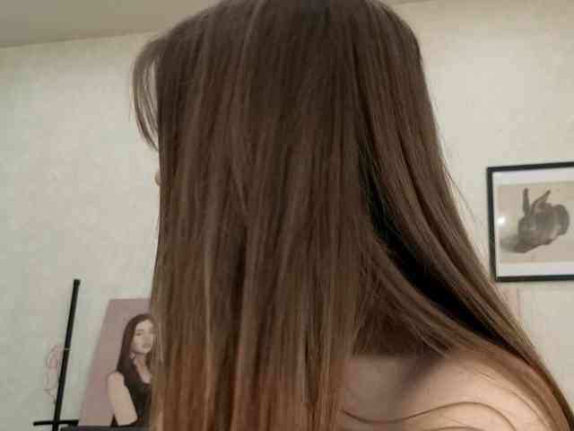 dolly-ll webcam