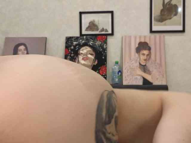 dolly-ll webcam