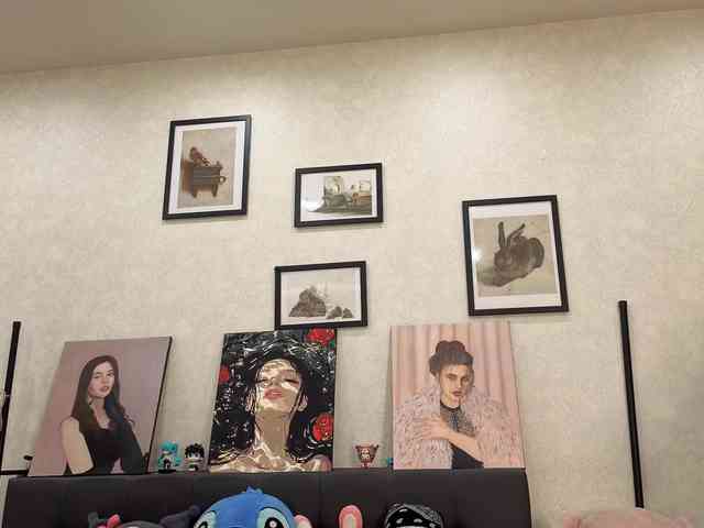dolly-ll webcam
