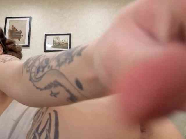 dolly-ll webcam