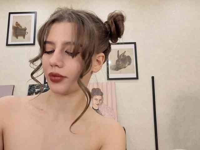 dolly-ll webcam