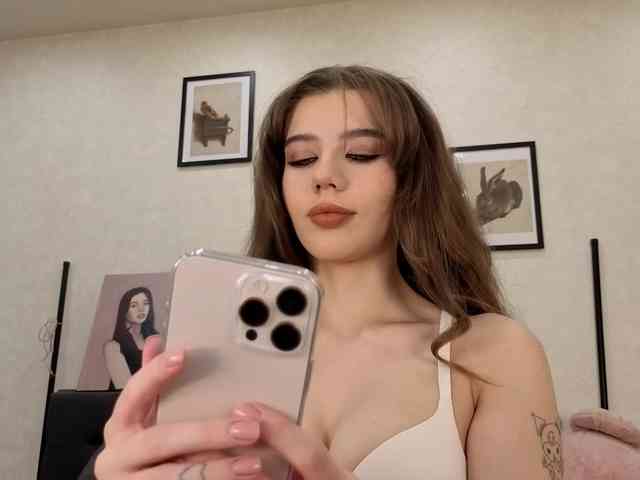 dolly-ll webcam