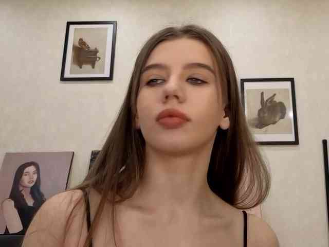 dolly-ll webcam