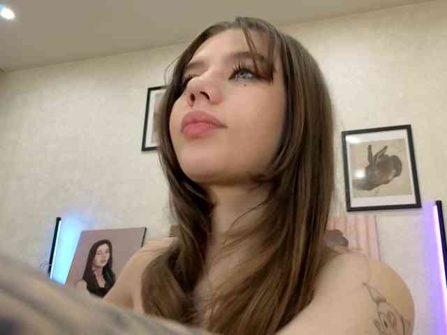 dolly-ll webcam