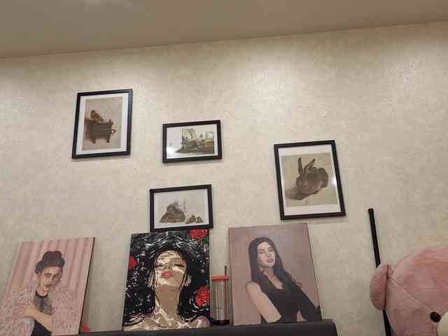 dolly-ll webcam