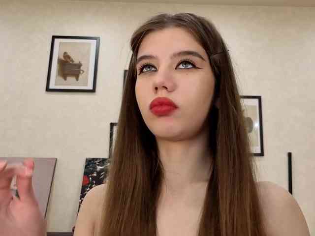 dolly-ll webcam