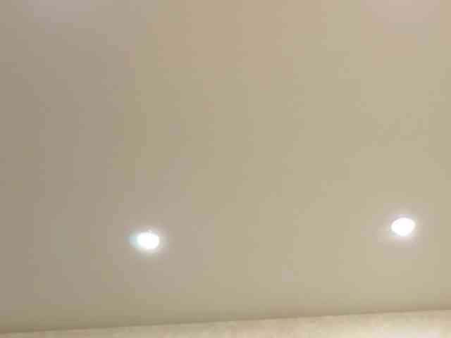 dolly-ll webcam