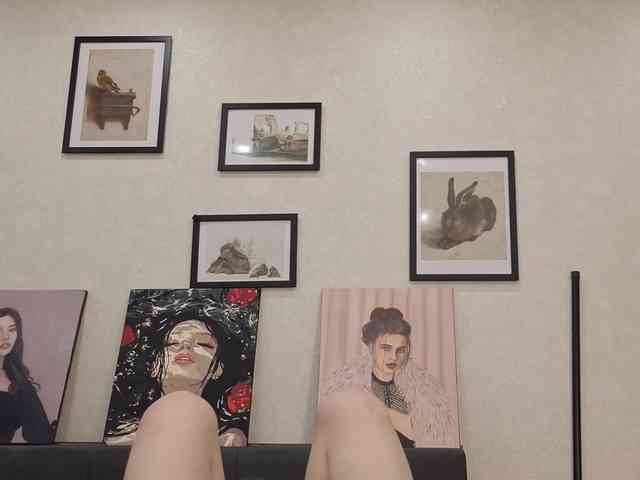 dolly-ll webcam