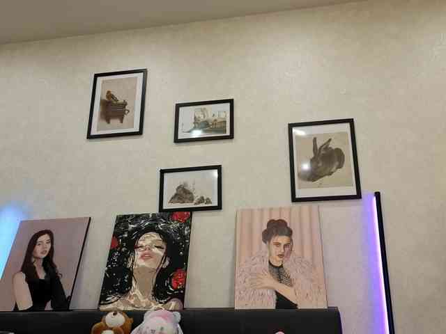 dolly-ll