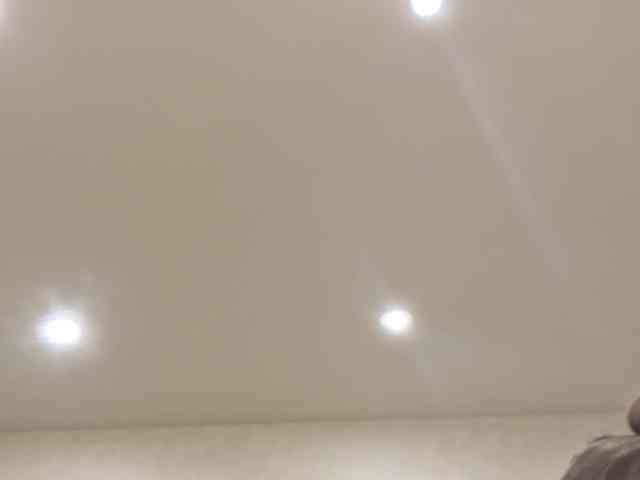 dolly-ll webcam