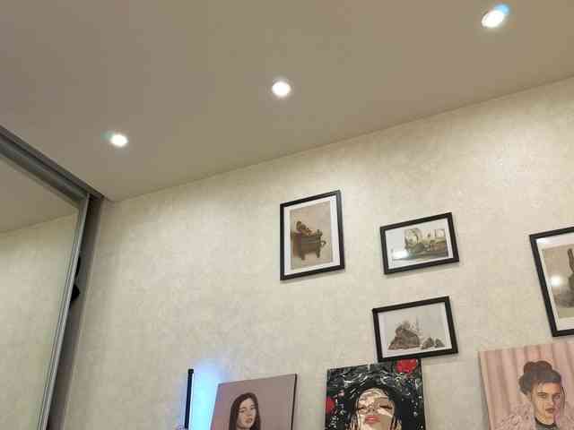 dolly-ll webcam