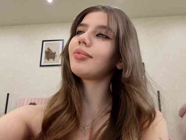 dolly-ll webcam