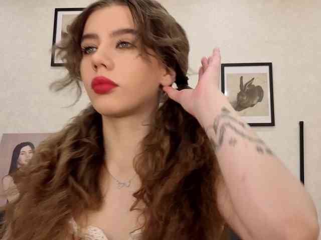 dolly-ll webcam