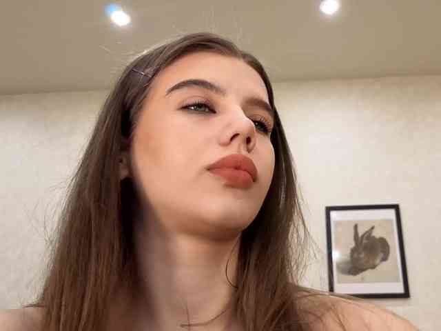 dolly-ll webcam