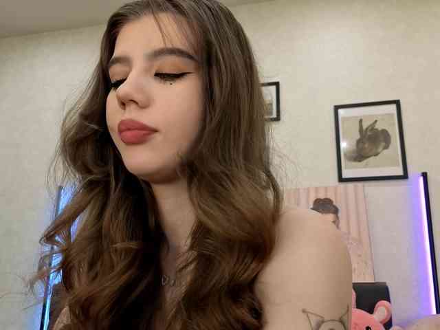 dolly-ll webcam