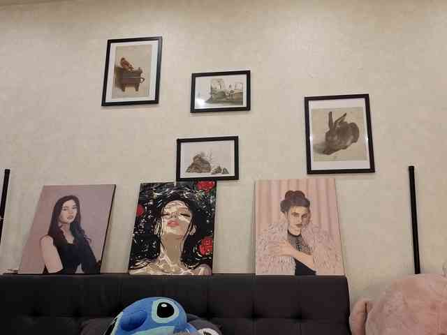 dolly-ll webcam