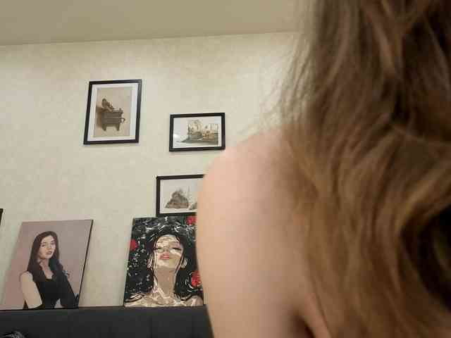 dolly-ll webcam