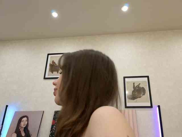 dolly-ll webcam