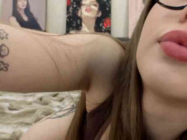 dolly-ll webcam