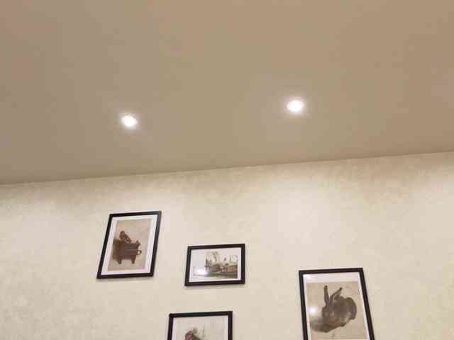 dolly-ll webcam