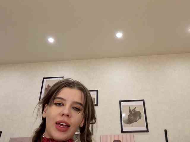 dolly-ll webcam