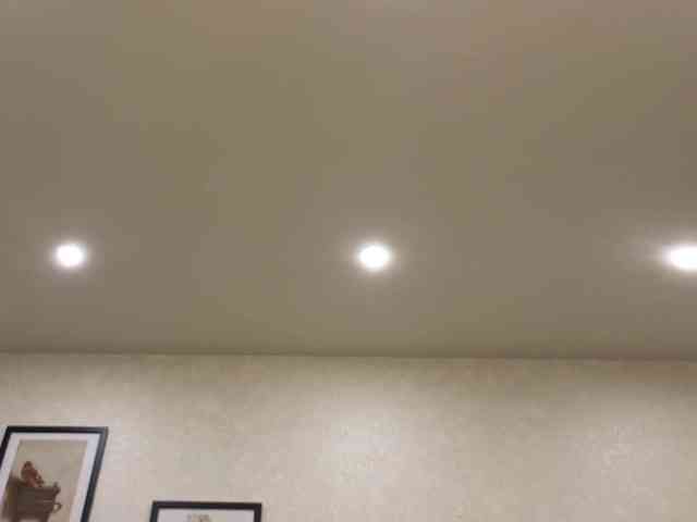 dolly-ll webcam