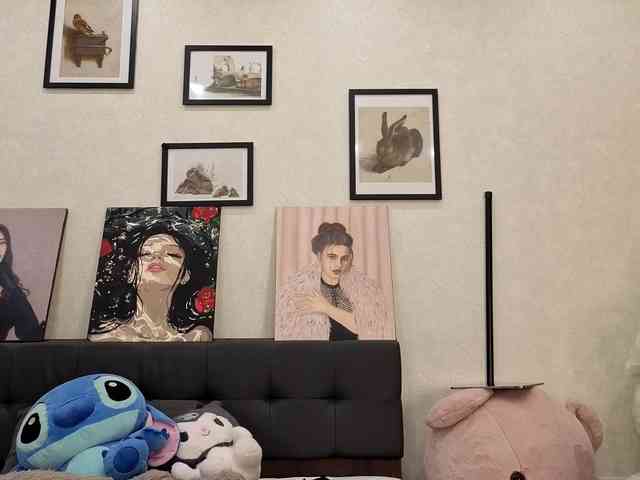 dolly-ll webcam