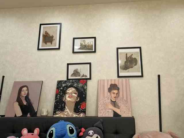 dolly-ll webcam