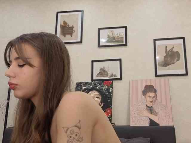 dolly-ll webcam