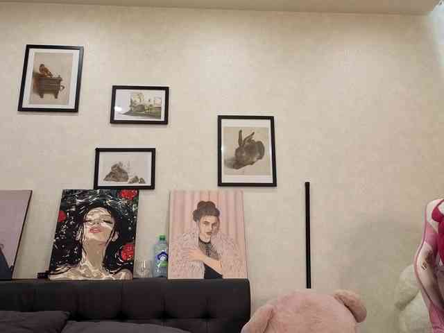 dolly-ll webcam