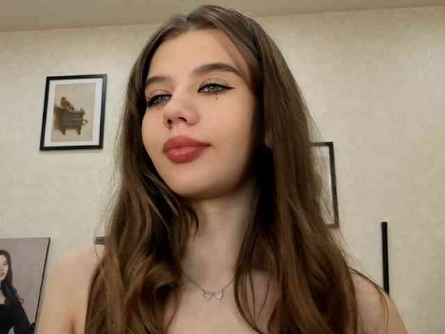 dolly-ll webcam