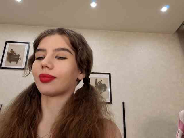 dolly-ll webcam