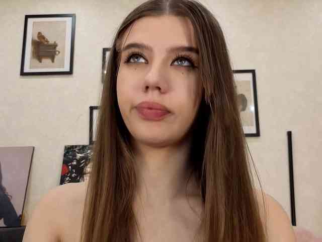 dolly-ll webcam