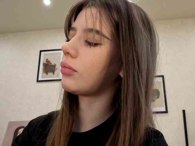 dolly-ll webcam