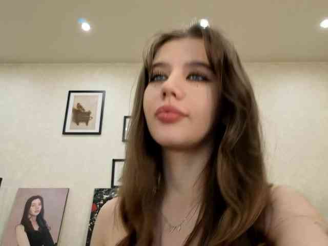 dolly-ll webcam