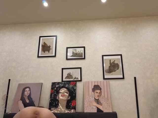 dolly-ll webcam