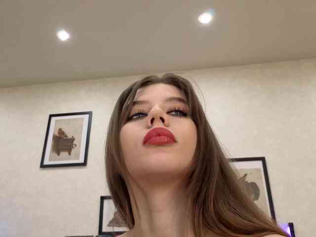 dolly-ll webcam