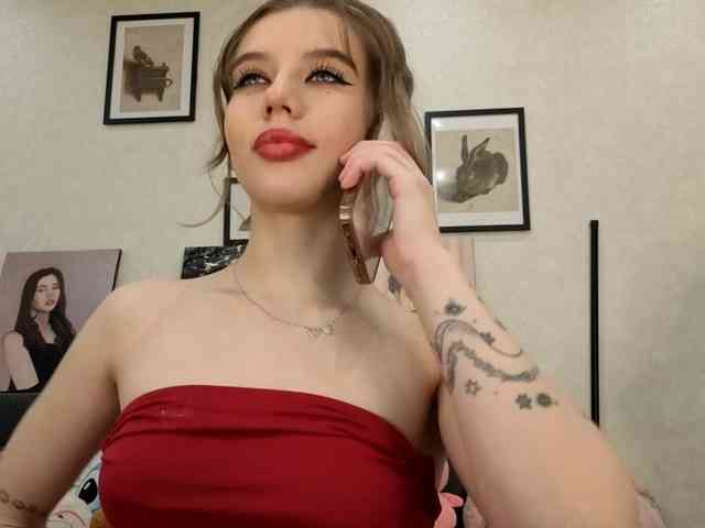 dolly-ll webcam